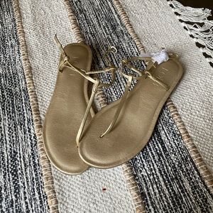 Loft NWT gold thong sandals